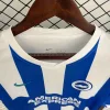 25/26 Brighton & Hove Albion Soccer Jersey Home