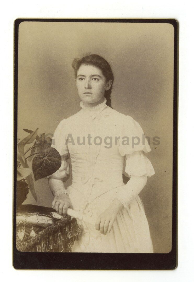 19th Century Fashion - Cabinet Card Photo Poster painting by Windsor Castle Gallery, Brooklyn