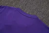 Joyfball 2025/2026 Real Madrid Short sleeve pre-match training Purple Jersey+Shorts  1:1 Thai Quality