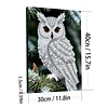 (30x40cm)DIY Pearl Painting Framed Owl  Handmade Pearl Material Art Kit Living Room Decor