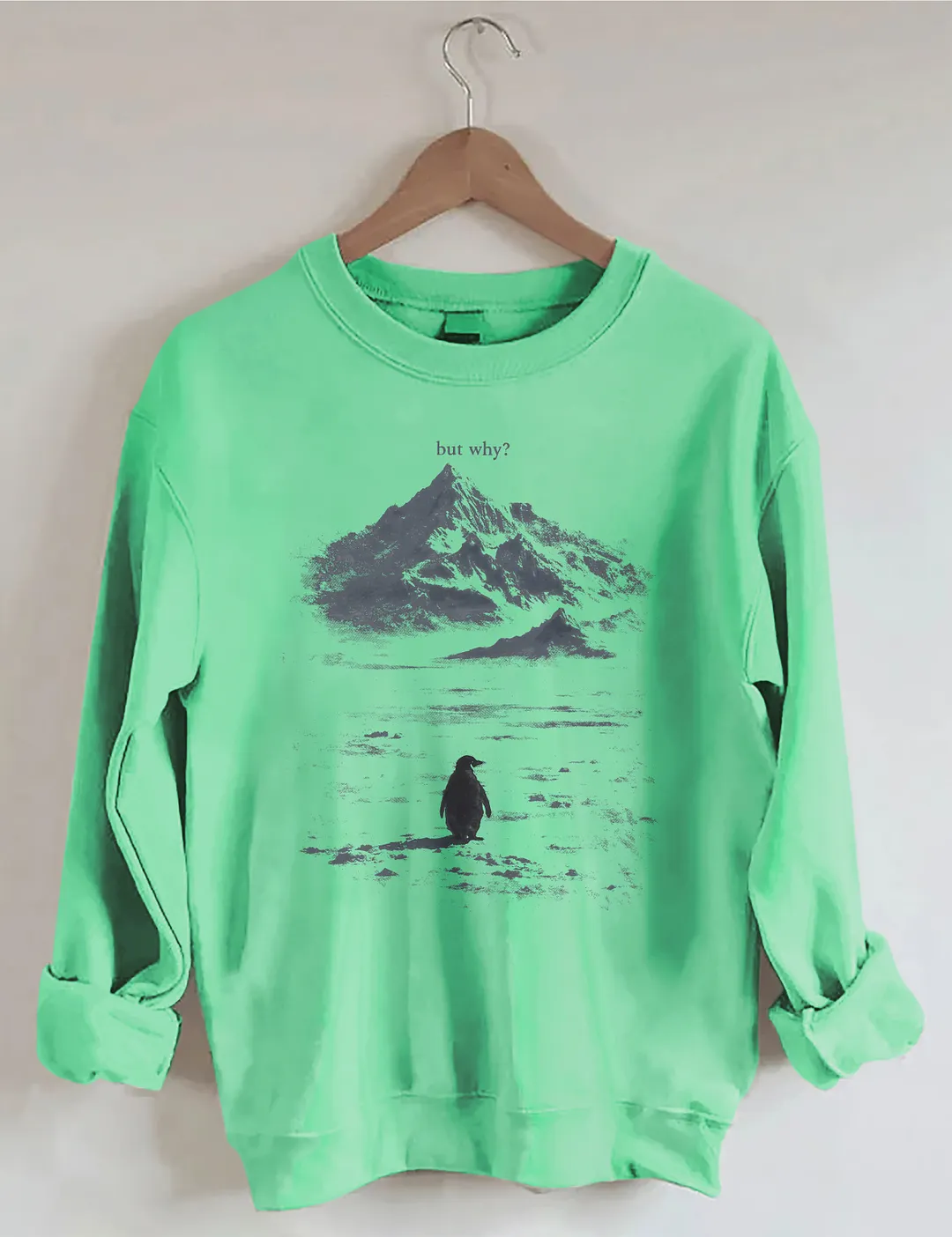 But Why Penguin Sweatshirt