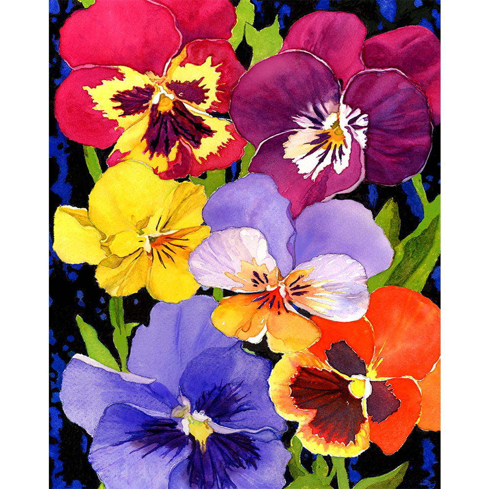 Hummingbird With Iris-Paint by Numbers-16"x20"/40x50cm