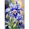 Iris-11CT Stamped Cross Stitch 40*60cm/15.75*23.62in  tapestrymarket