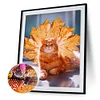 Best lowest diamond painting - Coodeals diamond painting