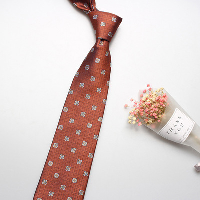 Men Business Tie