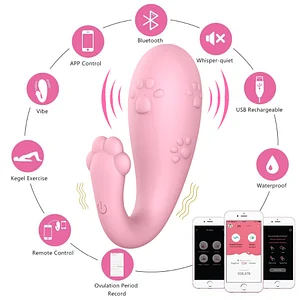 App-Controlled Benwa Ball Vibrator – Wireless Bluetooth Vibrating Egg