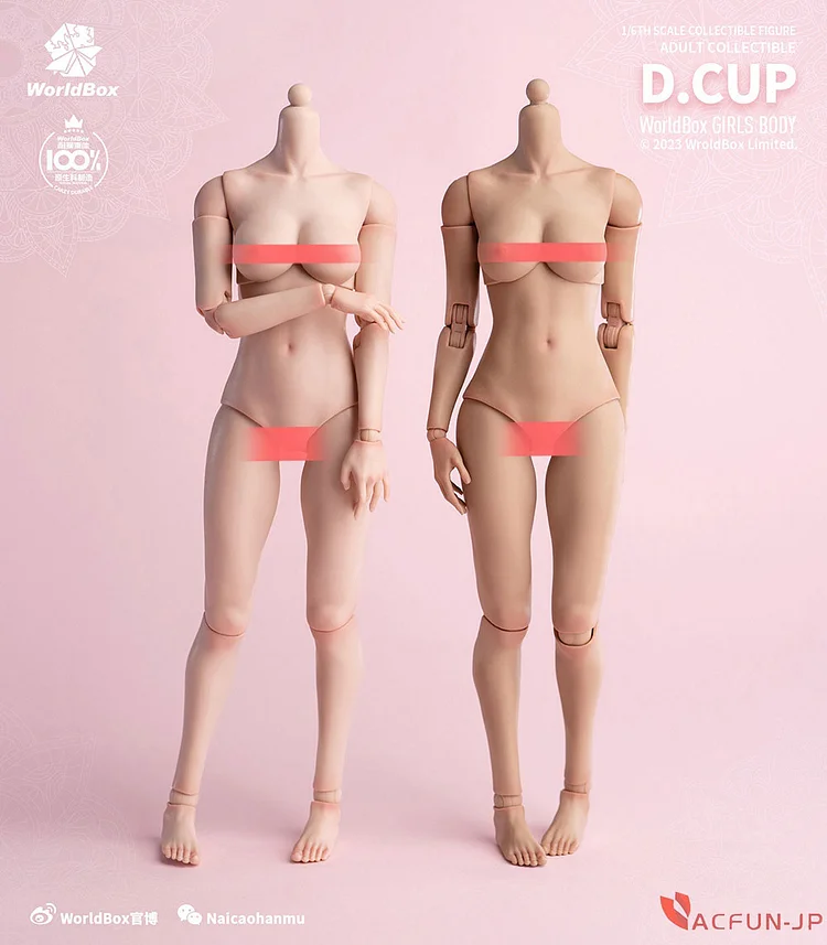 AC」Worldbox AT203 1/6 スケール 女性 素体 超可動 デッサン