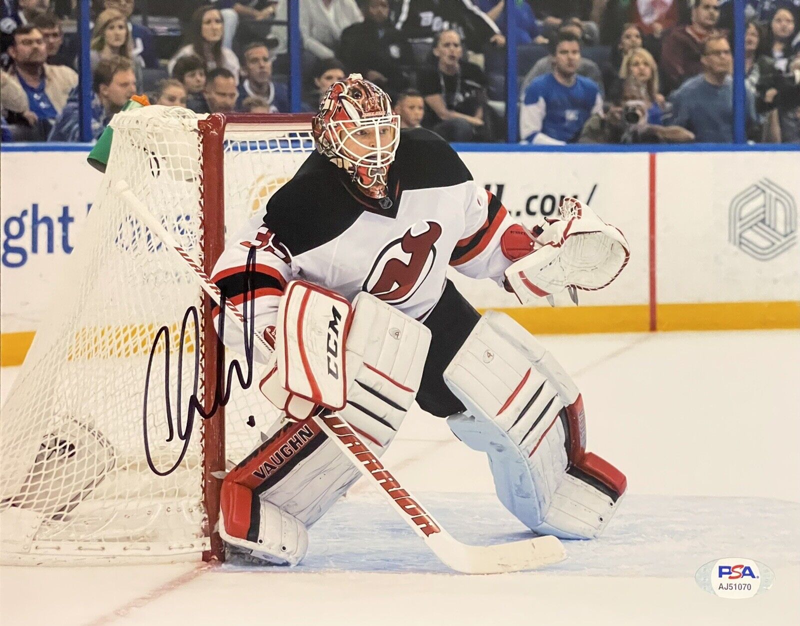 Cory Schneider Signed Autographed New Jersey Devils 8x10 Photo Poster painting PSA/DNA