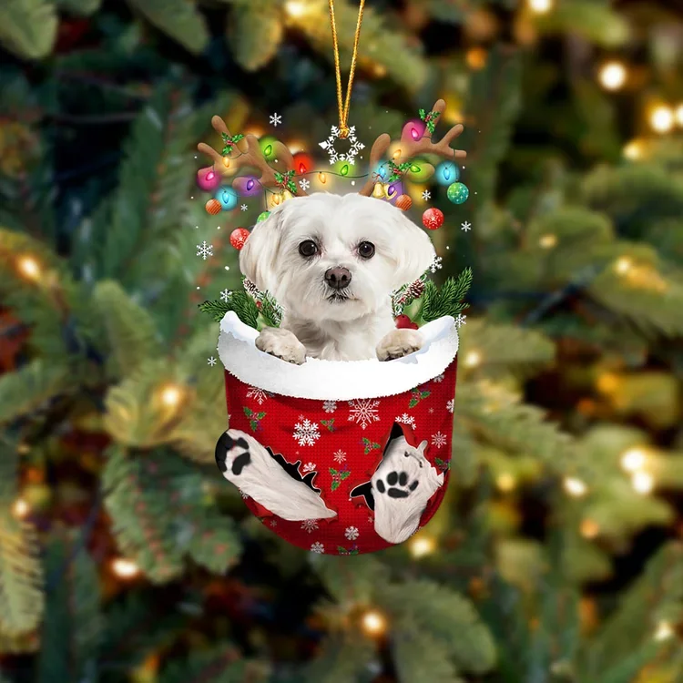 WHITE Maltese In Snow Pocket Christmas Ornament trabladzer