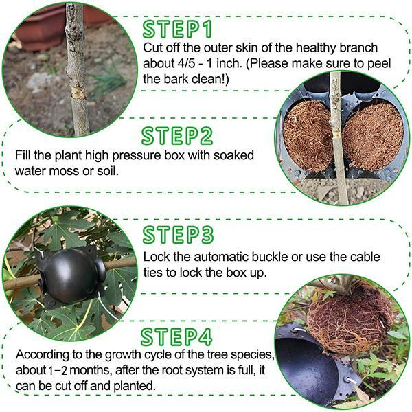 Plant Root Growing Box (9 pcs)
