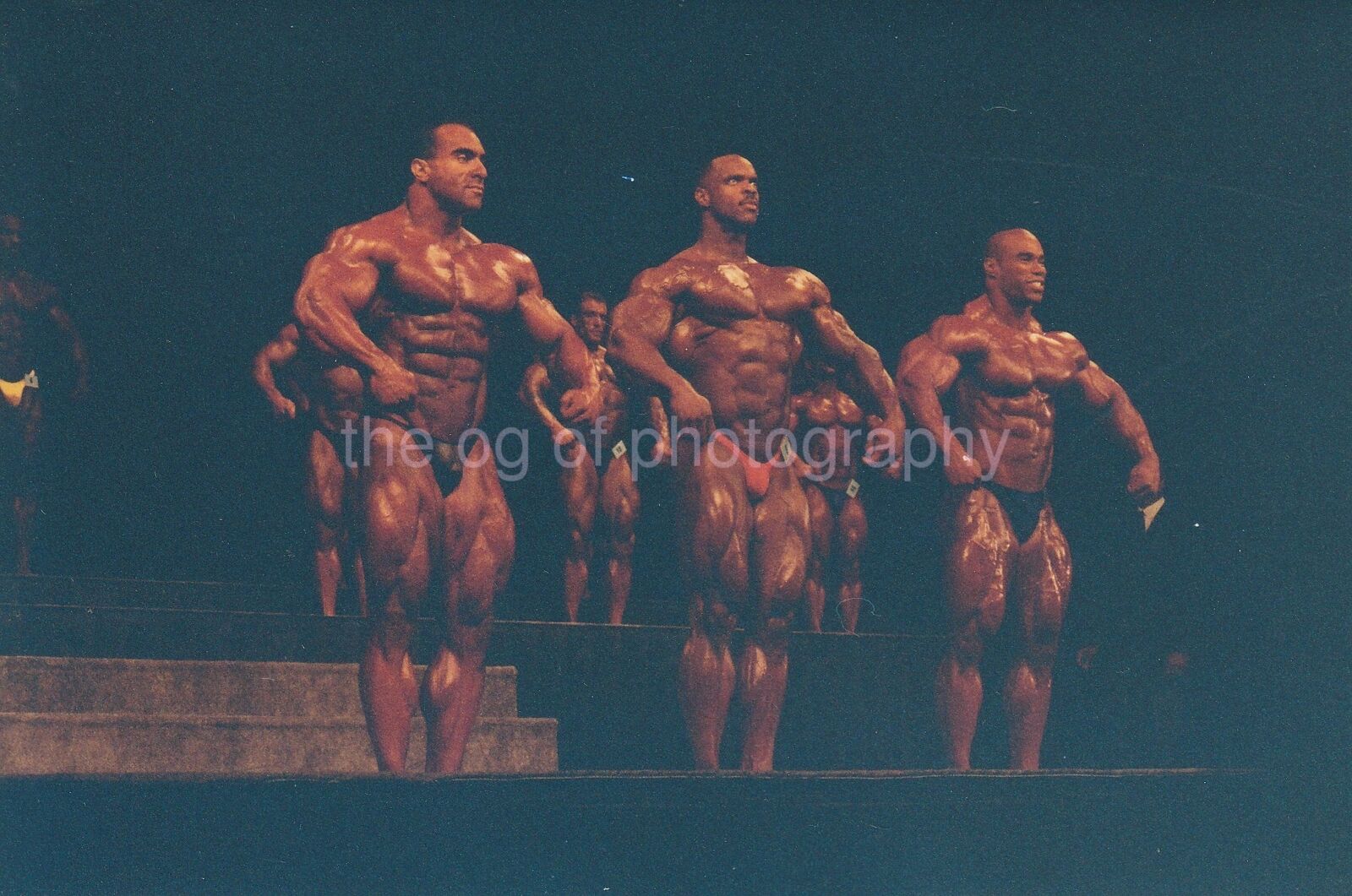 Muscle Men FOUND Photo Poster paintingOriginal BODYBUILDERS Bodybuilding 92 8 L