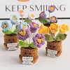 (Finished Product)Crochet Flower Potted Doll with Positive Card Desktop Ornaments, Potted Plants, Bouquets Gift Home Decor