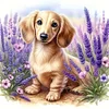 Lavender And Dachshund-11CT Stamped Cross Stitch 40*40cm/15.75*15.75in
