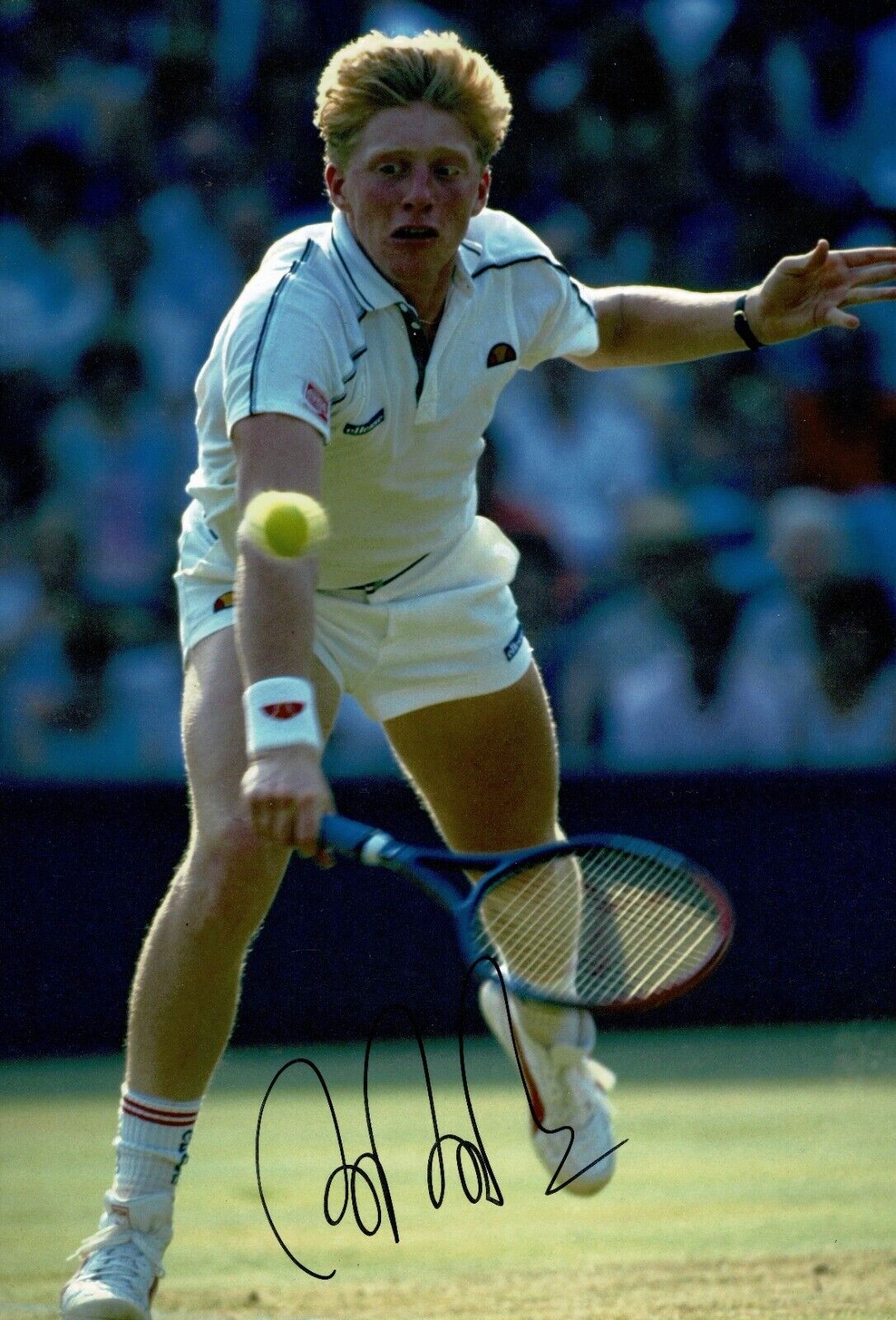 Boris Becker Signed 12X8 Photo Poster painting Wimbledon Champions GENUINE AFTAL COA (A)