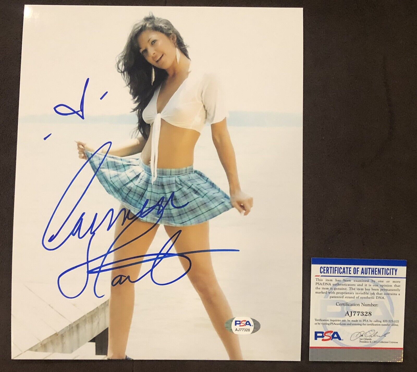 Carmen Hart Adult STAR SIGNED 8X10 Photo Poster painting Autograph Sexy Naughty America PSA