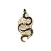 Serpiente Floreciente Nocturna