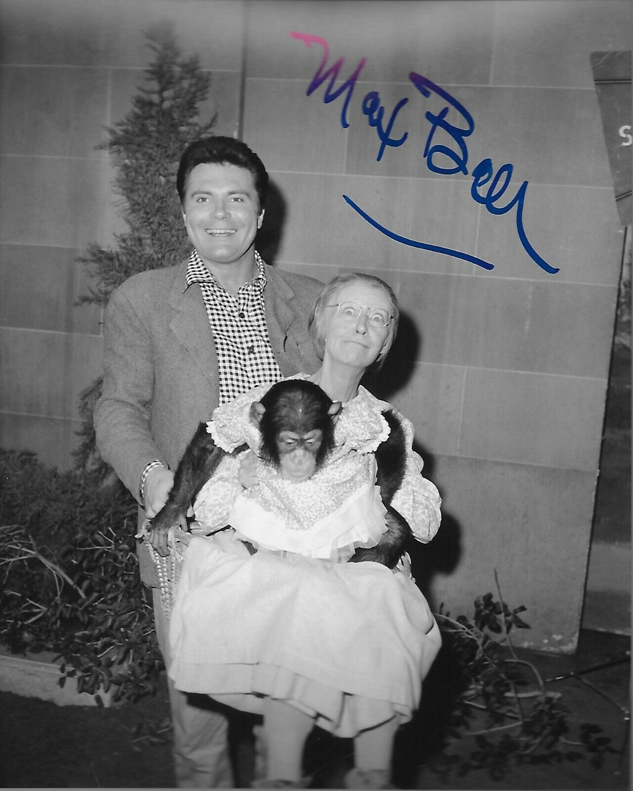 Max Baer Jr The Beverly Hillbillies Original Autographed 8x10 Photo Poster painting #28