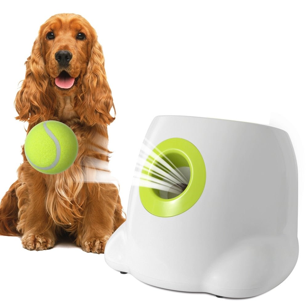 Musedesire™ Automatic Tennis Ball Launcher