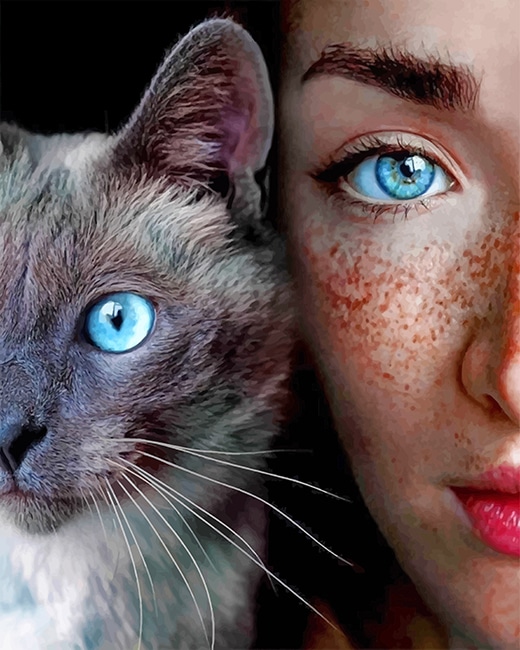 

Eyes Girl And Cat – Paint By Numbers - 40*50CM, 501 Original