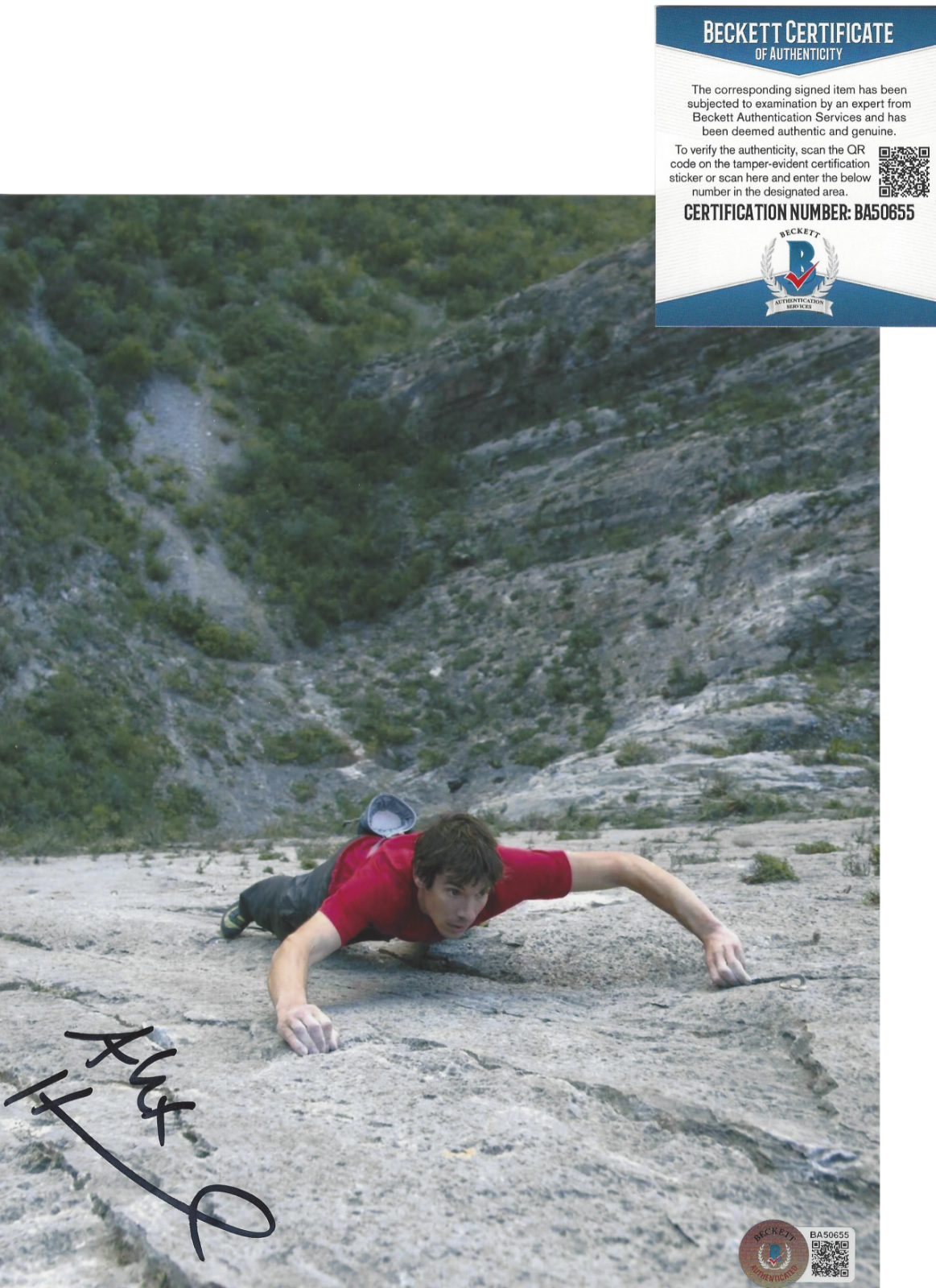 ALEX HONNOLD SIGNED  SOLO ROCK CLIMBER CLIMBING 8x10 Photo Poster painting 1 BECKETT BAS COA