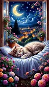 Luxury AB Velvet Diamond Painting Kit - Cat