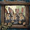 Frame Rabbit-11CT Stamped Cross Stitch 40*40cm