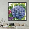 Hydrangea-14CT Stamped Cross Stitch-48*48cm(Brand)