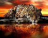Leopard Drinking Water | Full Square Diamond Painting Kits