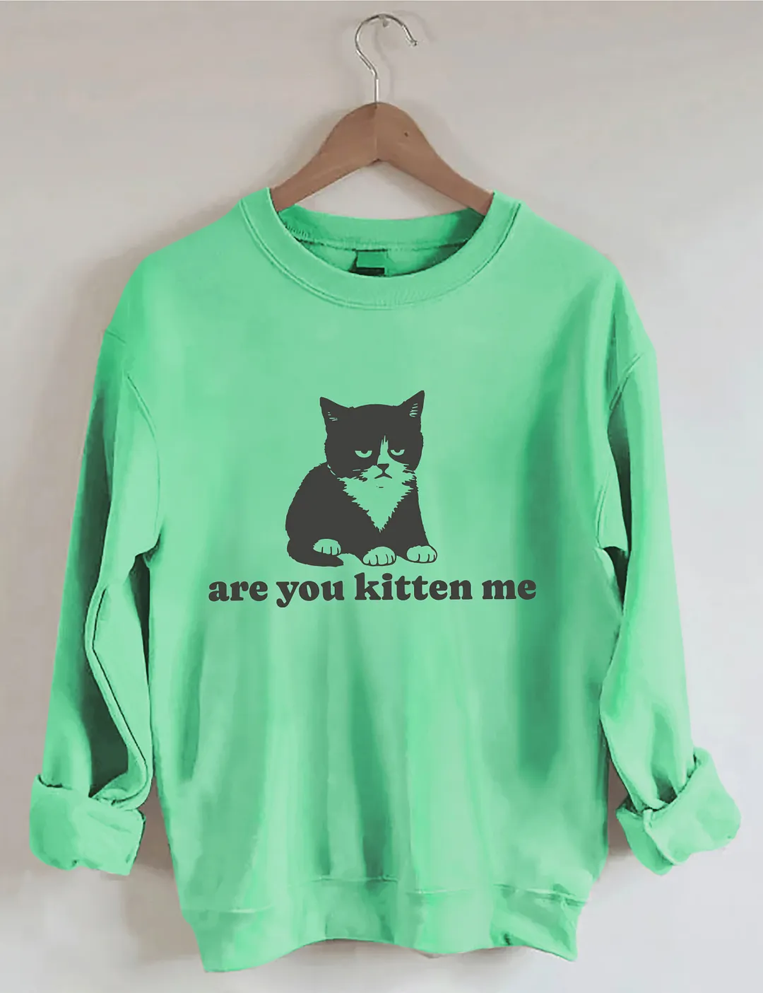 Are You Kitten Me Sweatshirt