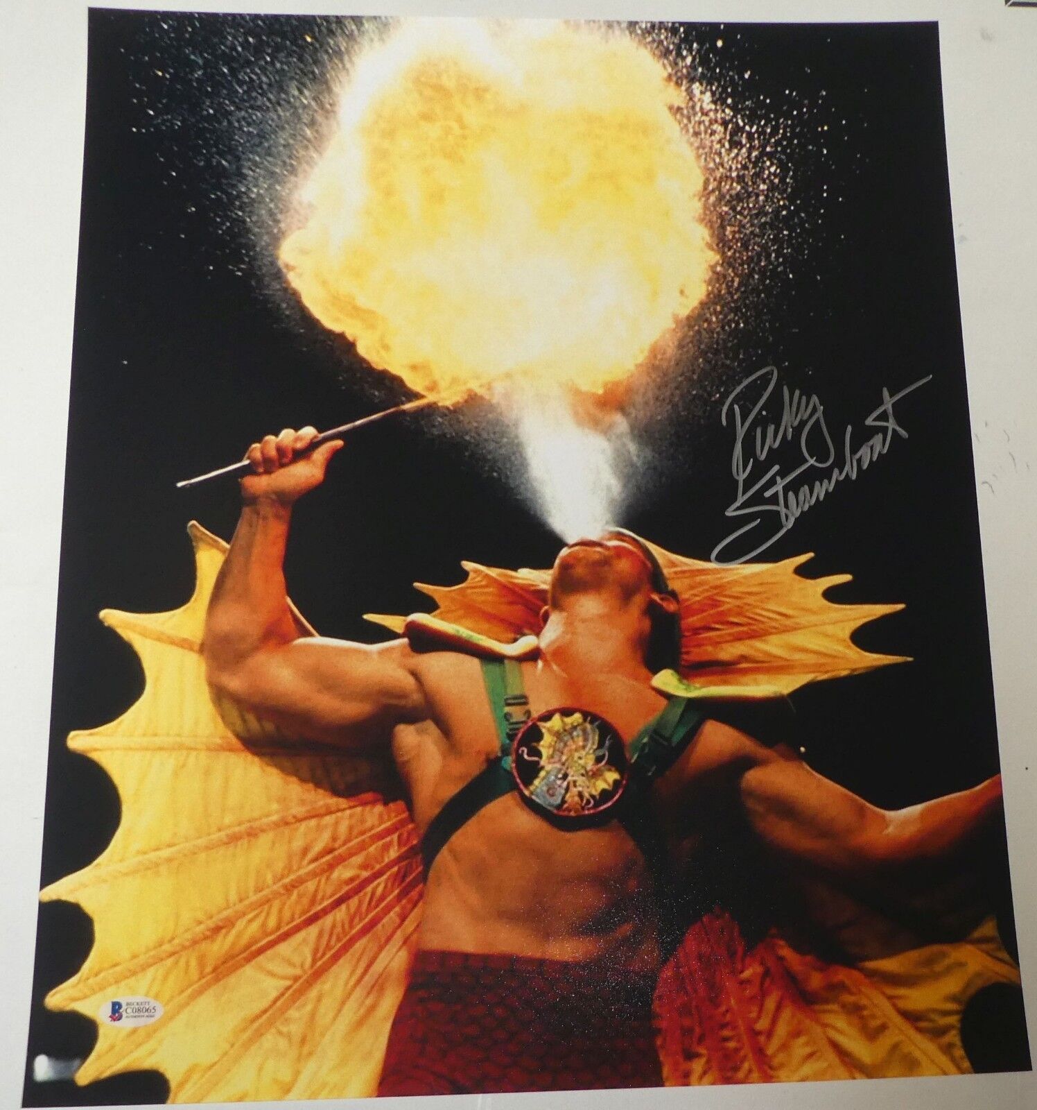 Ricky Steamboat Signed WWE 16x20 Photo Poster painting BAS COA Pro Wrestling Picture Autograph 5