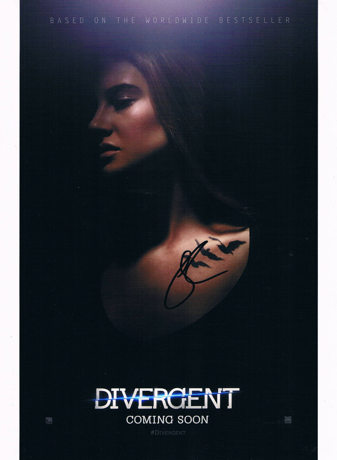 Shailene Woodley 1991- genuine autograph Photo Poster painting 8x12