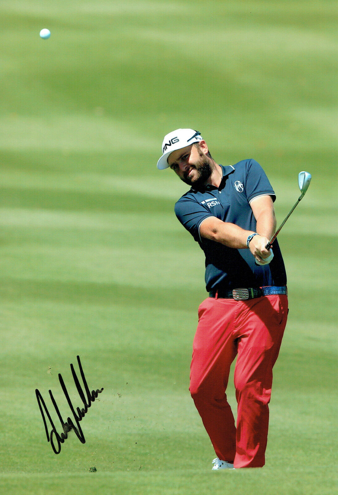 Andy SULLIVAN SIGNED World Golf Championship Autograph 12x8 Photo Poster painting AFTAL COA