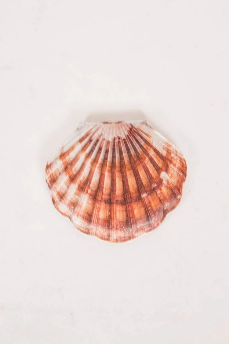 Brown & Red Shell Compact Mirror Katch Me