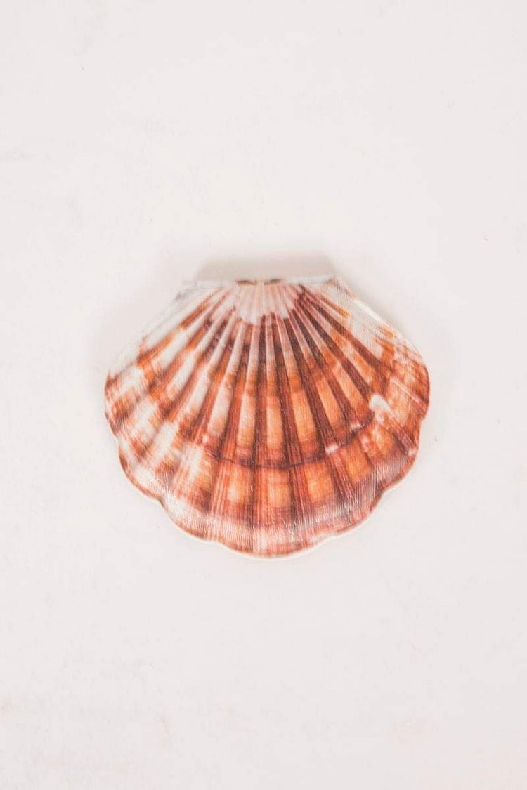 Brown & Red Shell Compact Mirror Katch Me