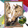 Horse - 9CT Partial Beaded Cross Stitch Kit(28x41cm)