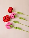 (Finished Product)Crochet Carnation Artificial Carnation Exquisite Aesthetic for Gift Home Office Decor