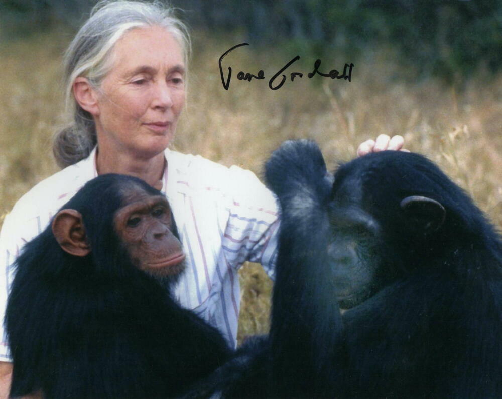 JANE GOODALL SIGNED AUTOGRAPH 8X10 Photo Poster painting - INSTITUTE, CHIMPANZEE EXPERT, RARE!