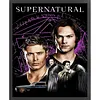 Supernatural-11CT Stamped Cross Stitch 40*50cm tapestrymarket