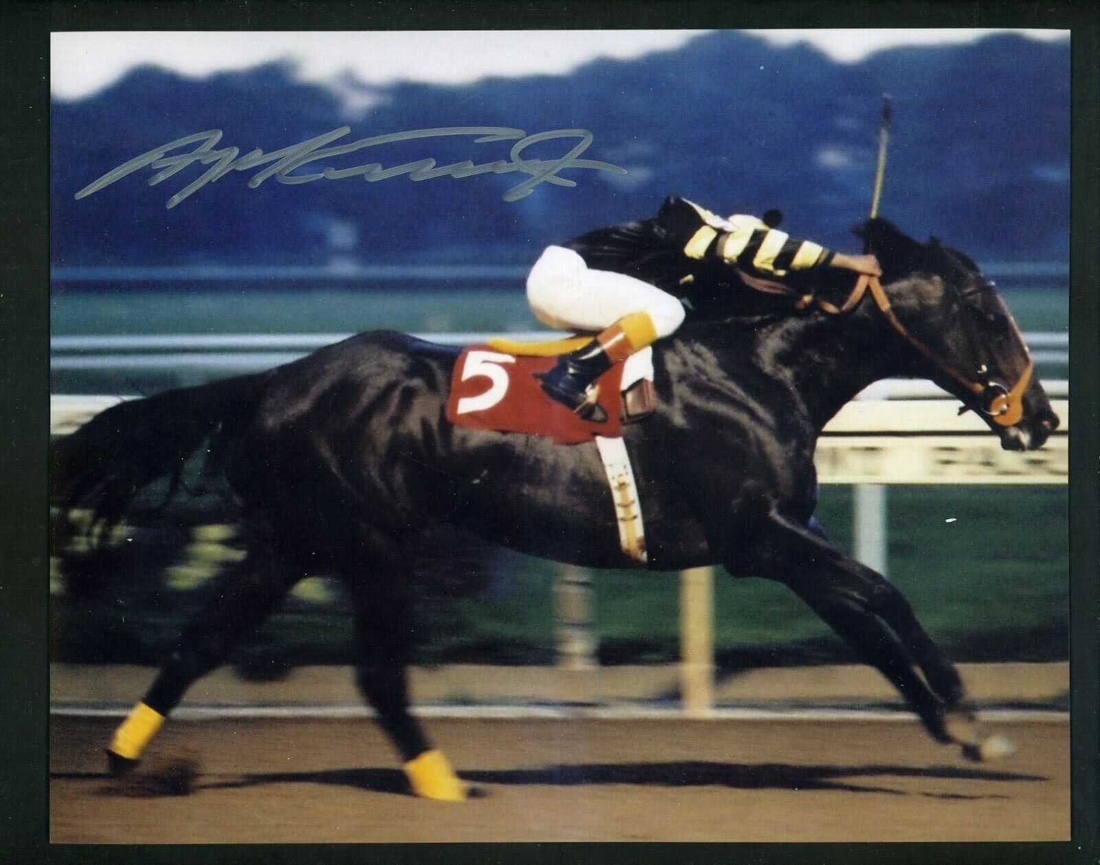 Angel Cordero Jr. Signed Autographed 8 x 10 Photo Poster painting Jockey