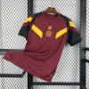 24/25 AS Roma Special Edition Soccer Jersey