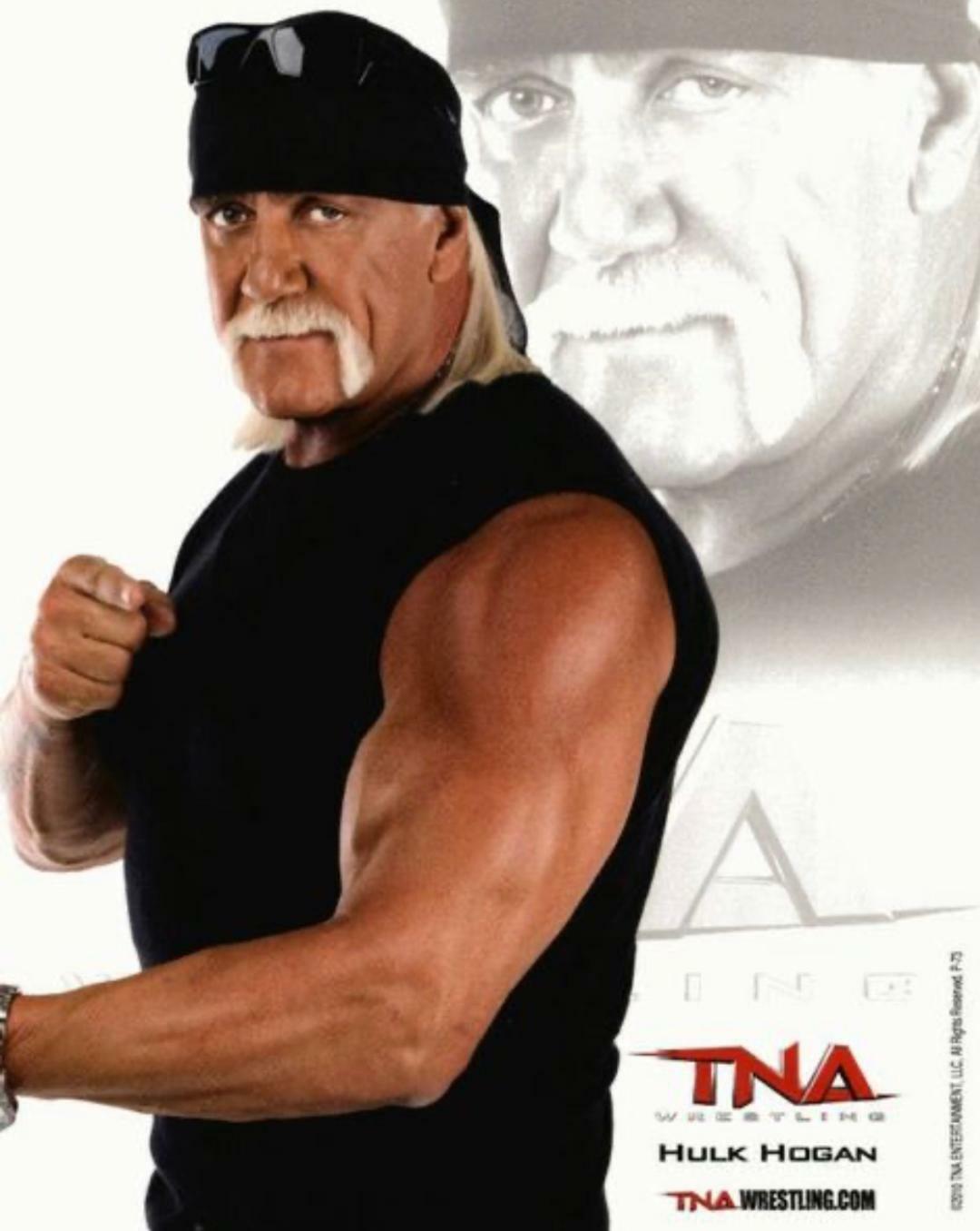 TNA HULK HOGAN P-73 OFFICIAL LICENSED 8X10 PROMO Photo Poster painting