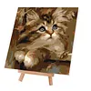 Framed Pear Cat-Paint By Numbers Acrylic Painting 20*20CM With Color Box 3ML(12Colors)