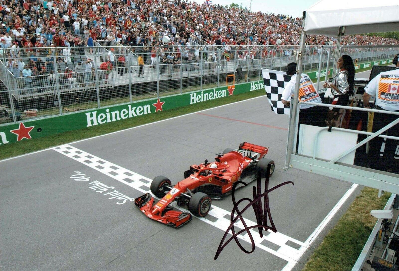 Sebastian VETTEL 2019 SIGNED AUTOGRAPH 12x8 Ferrari Photo Poster painting B Formula 1 AFTAL COA