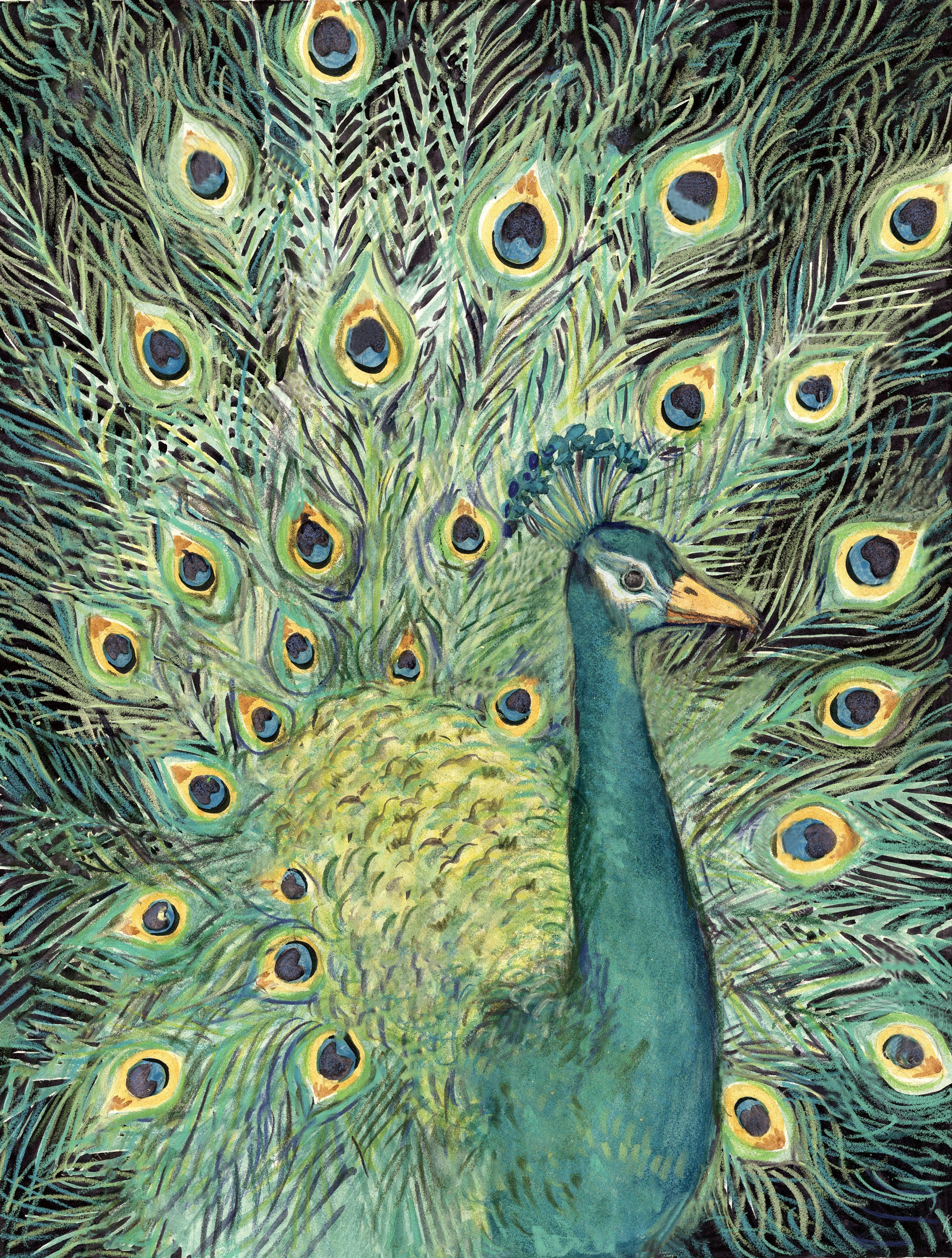 Peacock 40*50CM(Canvas) Full Square Drill Diamond Painting gbfke
