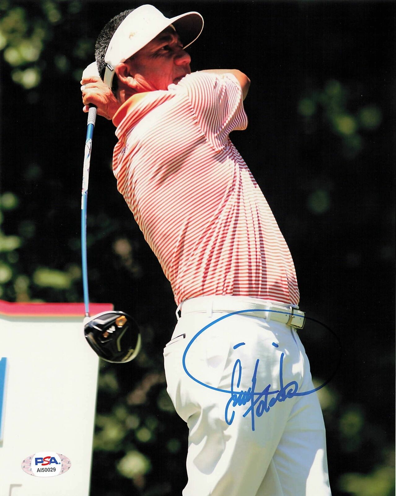 Esteban Toledo Signed 8x10 Photo Poster painting PSA/DNA Autographed Golf PGA