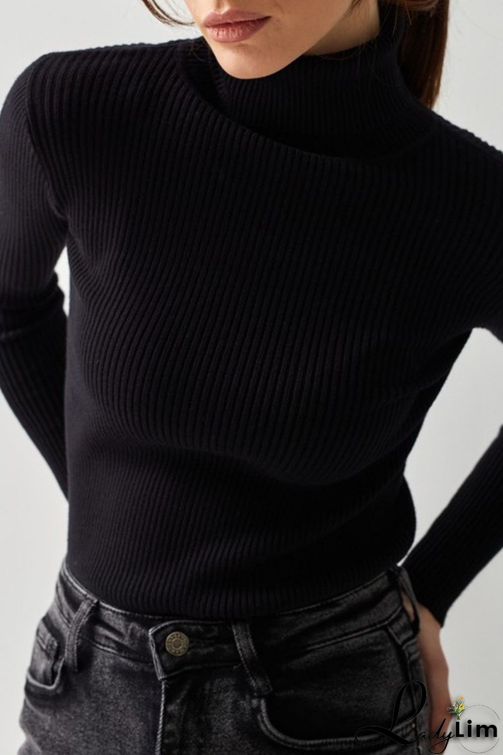 Black Casual Solid Basic Turtleneck Tops