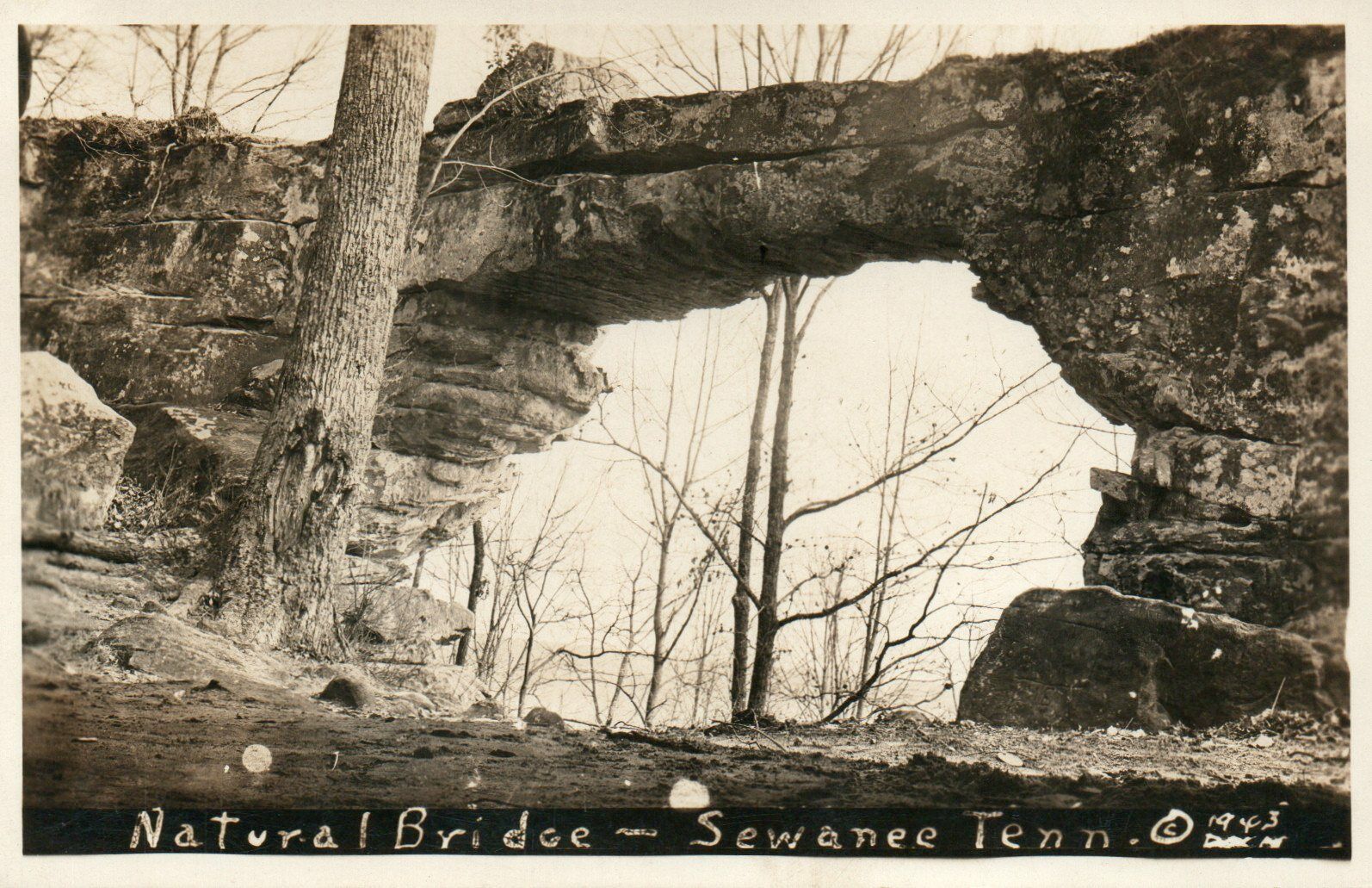 Natural Bridge Sewanee Tennessee Real Photo Poster painting RPPC Postcard Posted