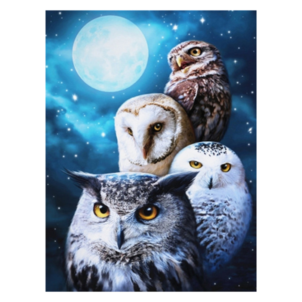 

40*50CM - Square Drill Diamond Painting - Owl, 501 Original