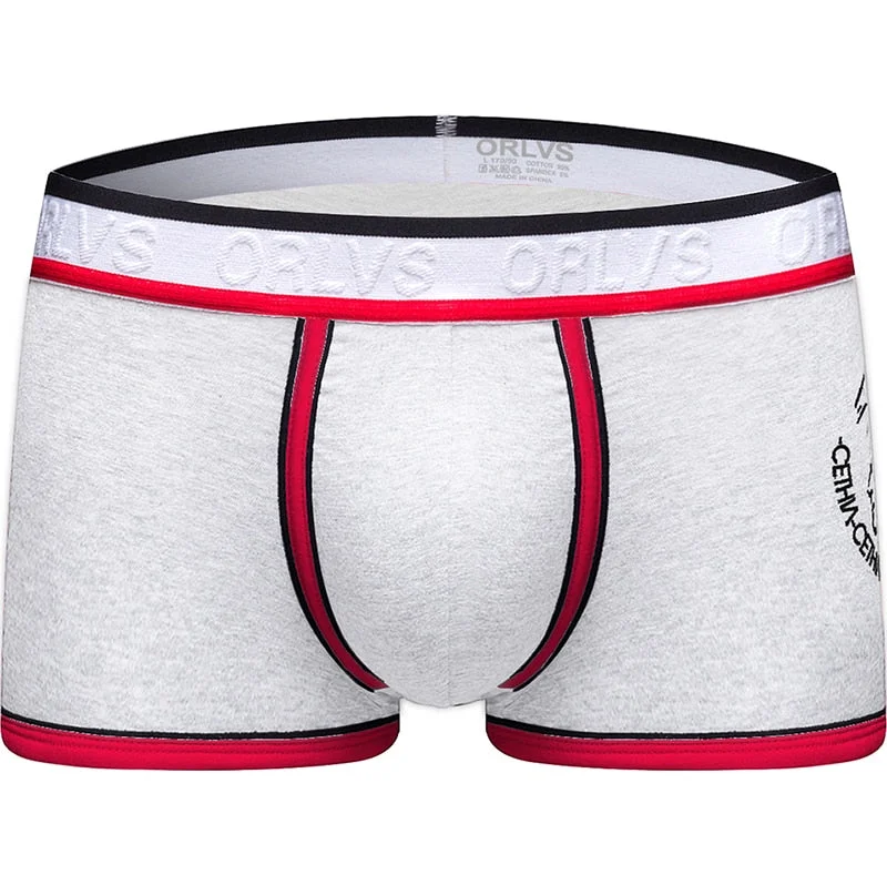 Aonga Brand New Mesh U Pouch Boxer Men Underwear  Underpants Cueca Cotton Pants Trunks Boxer shorts Male Panties OR118