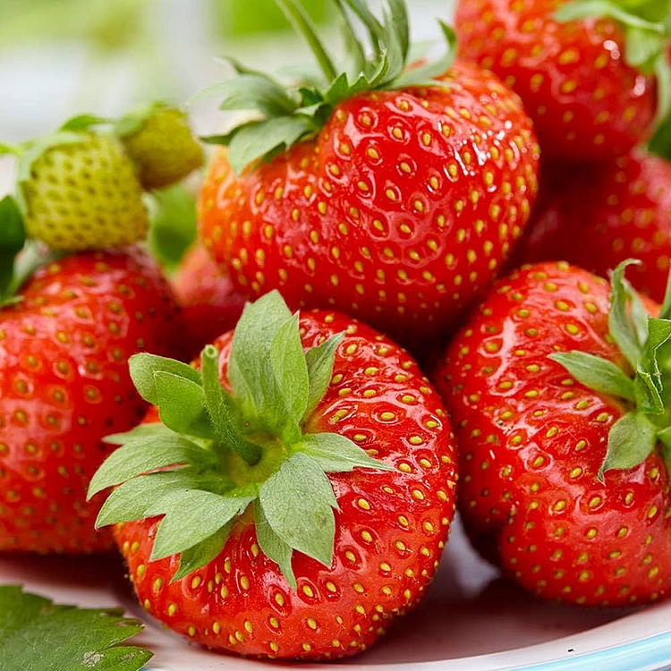 Premium Strawberry Seeds for Sweet, Homegrown Harvests!